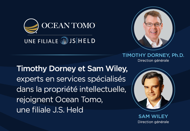 Image de la diapositive 11