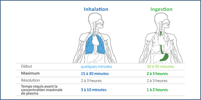 Figure 2 - Durées des effets psychoactifs suivant une inhalation ou une ingestion de THC
