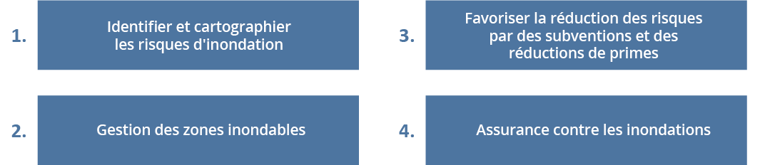 Illustration 1 - Éléments principaux du NFIP